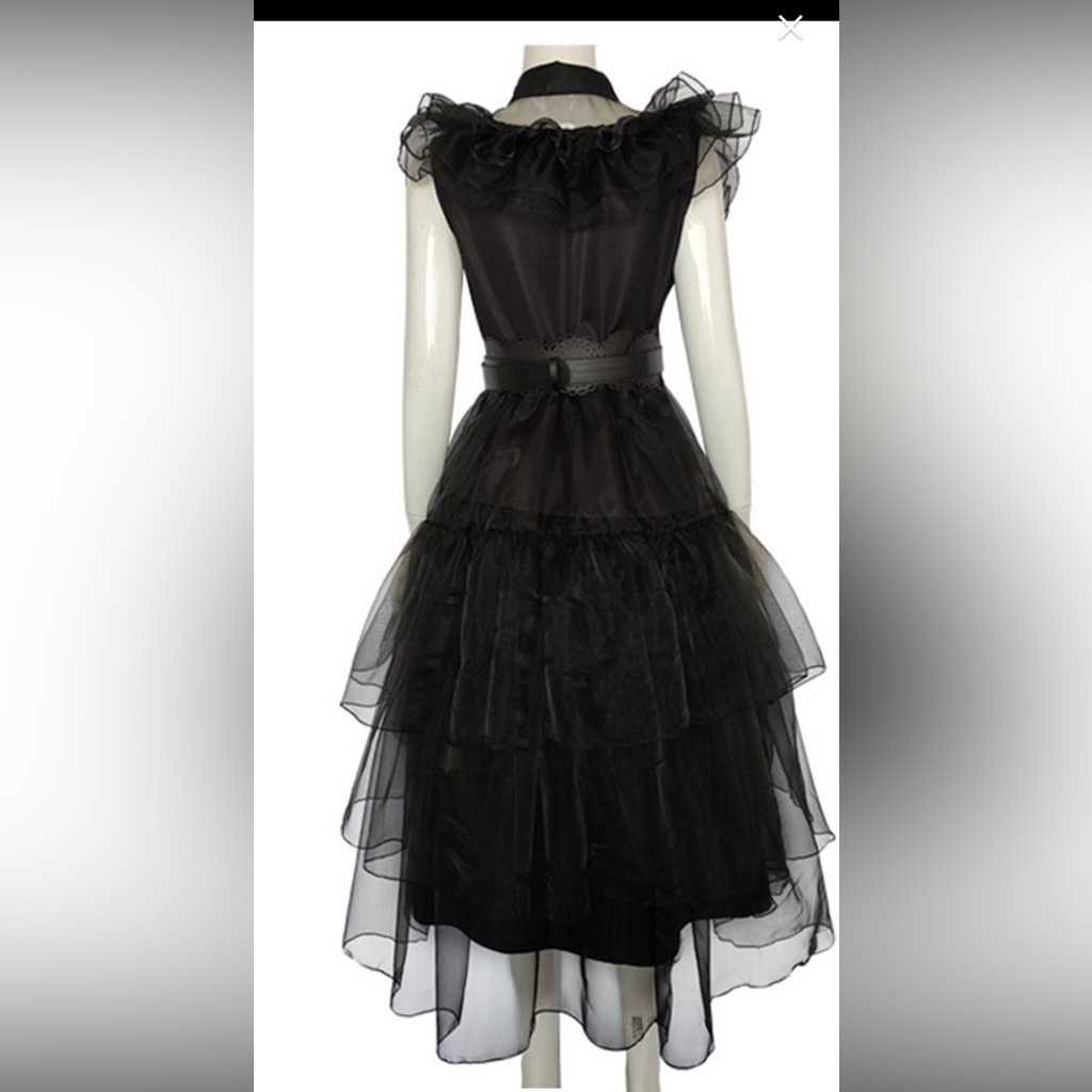 Wednesday Addams Dress And Puggsley Shirt And Socks . Brand New Never Worn